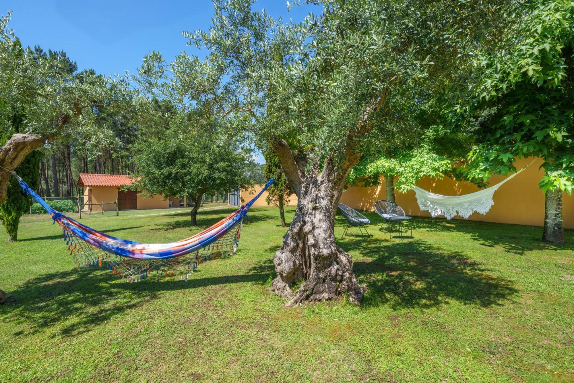 Apartamento T1 Charme, Condominio Perto De Pombal Pombal  Exteriör bild